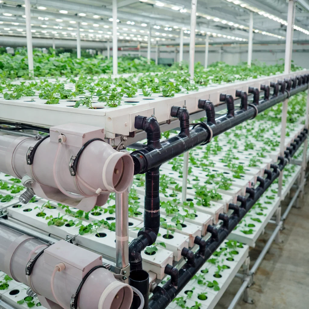 Aquaponics