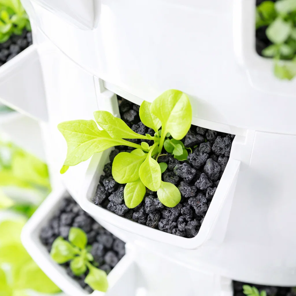Vertical Farming